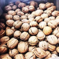 Walnut in shell with wholesale price