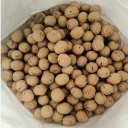 2025 New XinJiang 33 Type Walnut in Shell